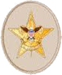 Star rank badge